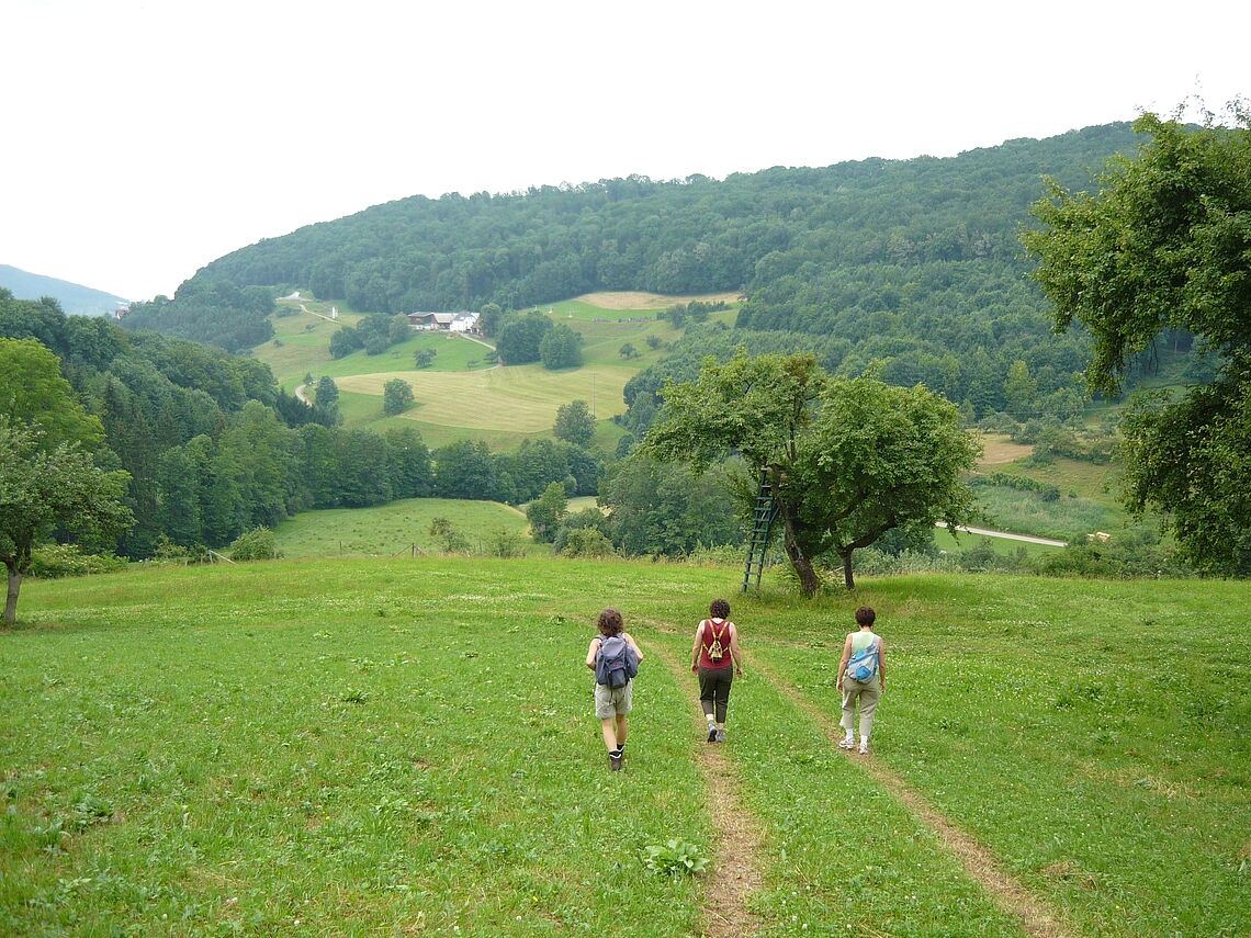 Hike in the valley of river Ohrn near Öhringen