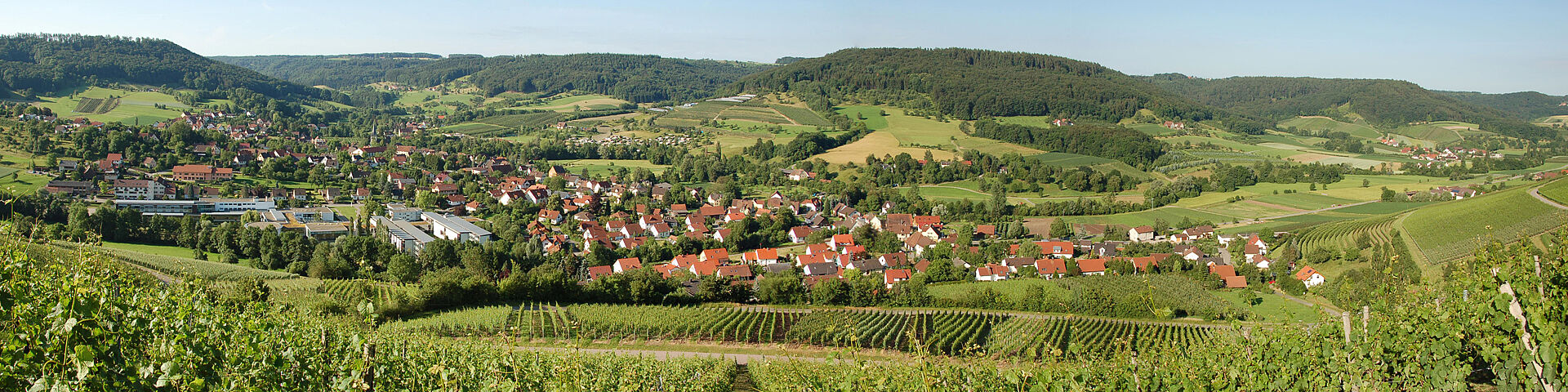 [Translate to englisch:] Das Steinbacher Tal mit Häusern, Reben, Wiesen und Wald sind zu sehen.