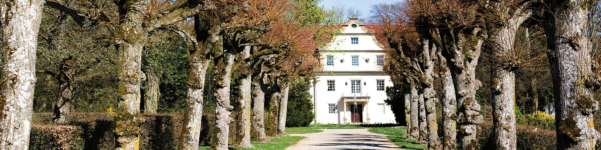 [Translate to Englisch:] Ein weißes Gebäude, das Jagdschloss in Zweiflingen-Friedrichsruhe, ist am Ende einer Allee zu sehen.