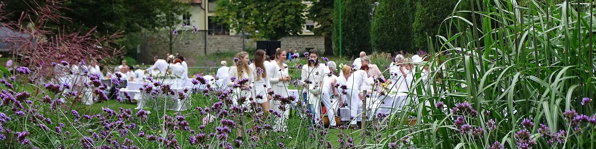 [Translate to Englisch:] Im Vordergrund sind violette Blumen zu sehen. Im Hintergrund ist eine große Gruppe weiß gekleideter Menschen zu sehen. Diese nehmen am Picknick in Weiß im Öhringer Hofgarten teil.